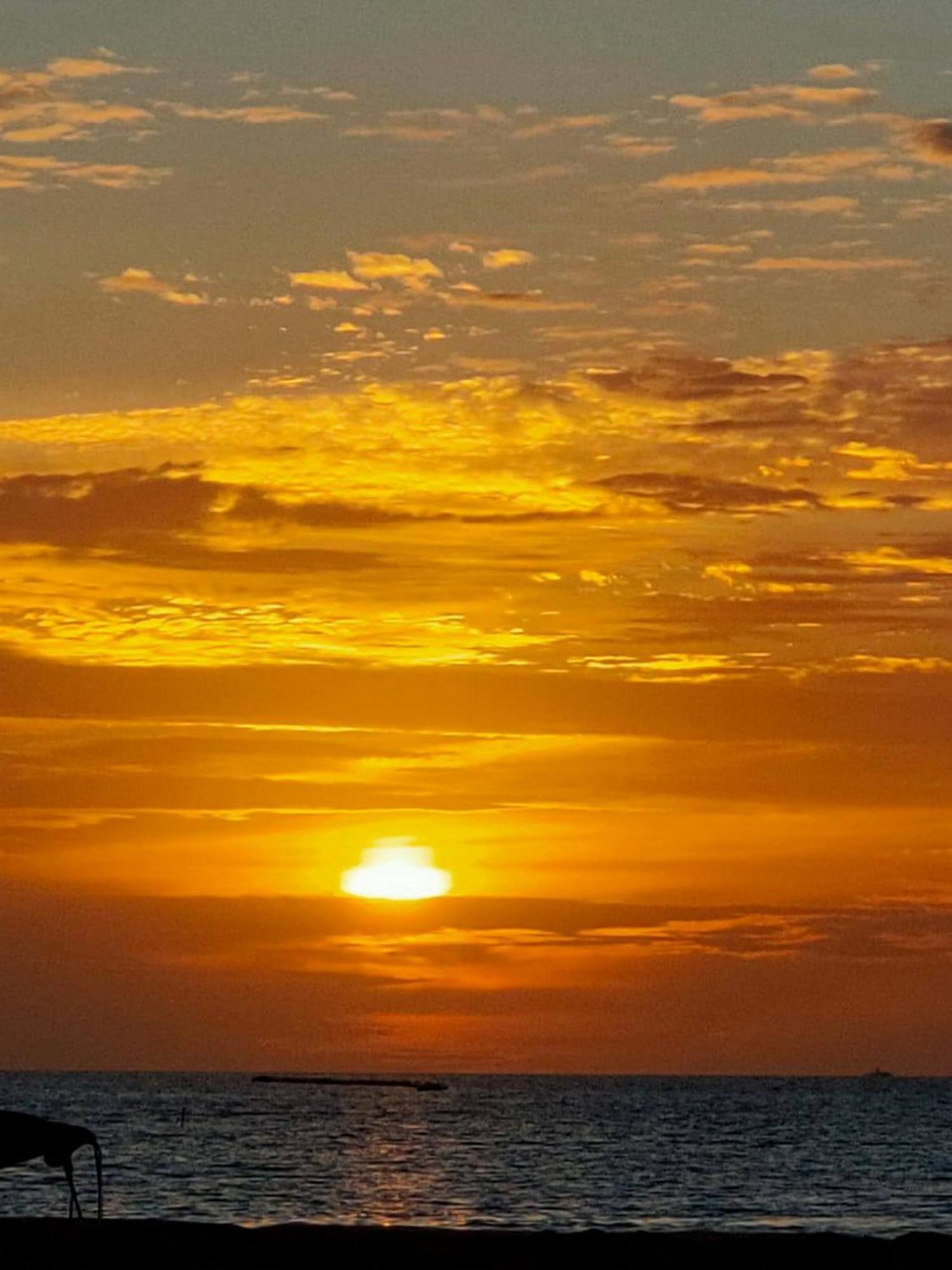 גוראידהו Wind Breeze Sunset View Inn מראה חיצוני תמונה